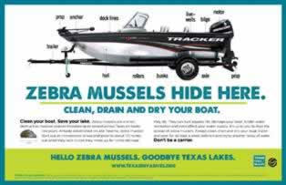 Learn about how to stop Zebra Mussels in Texas lakes